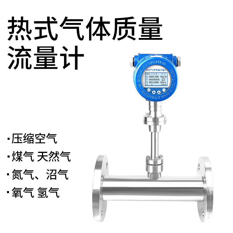 熱式氣體質量流量計